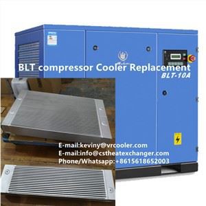 BLT BOLAITE空压机冷却器ASSY10bet官网和18bet